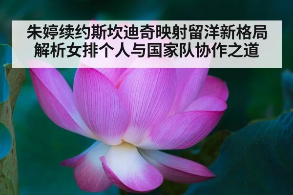 朱婷续约斯坎迪奇映射留洋新格局 解析女排个人与国家队协作之道